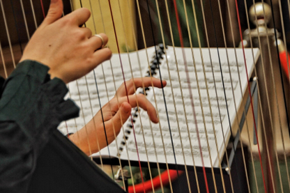 hands playing the harp